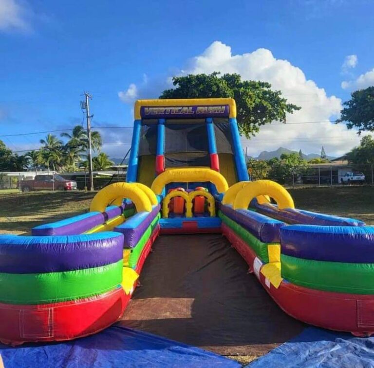 Multicolor double wateslide