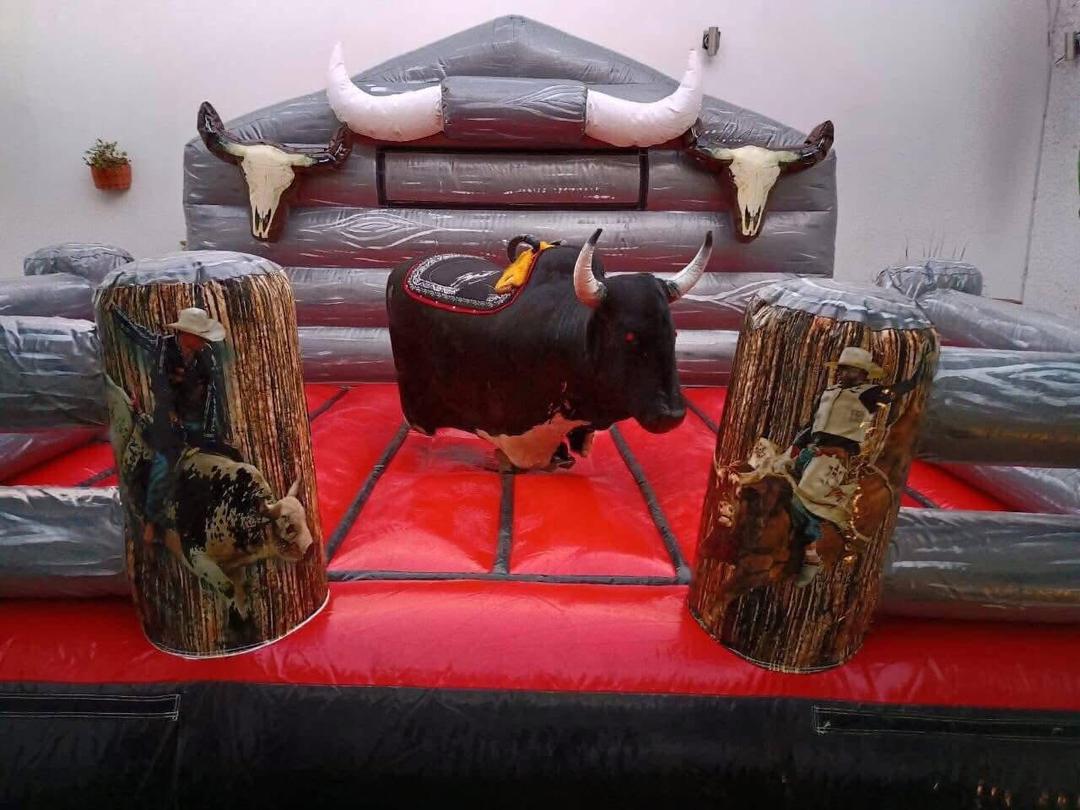 Mechanical Bull - Image 2