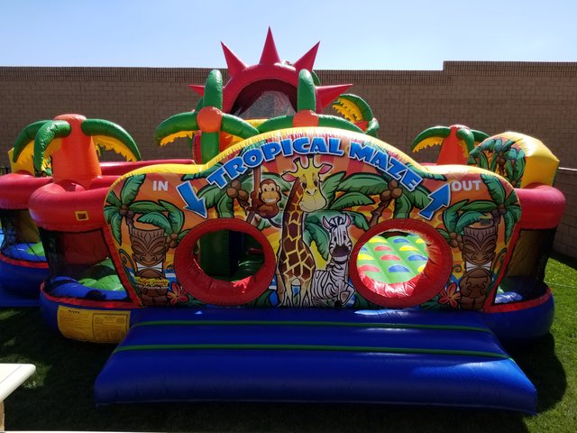 Jungle Animal Tropical Maze