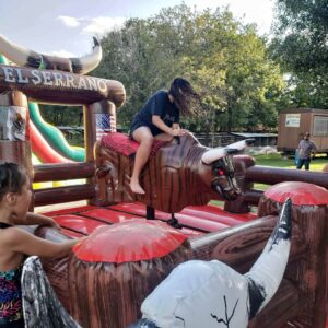 MECHANICAL BULL